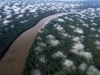 Amazon Rain Forest, Βενεζουέλα