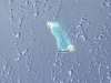 Ένα από τα νησιά Γκίλμπερτ στον Ειρηνικό ωκεανό 